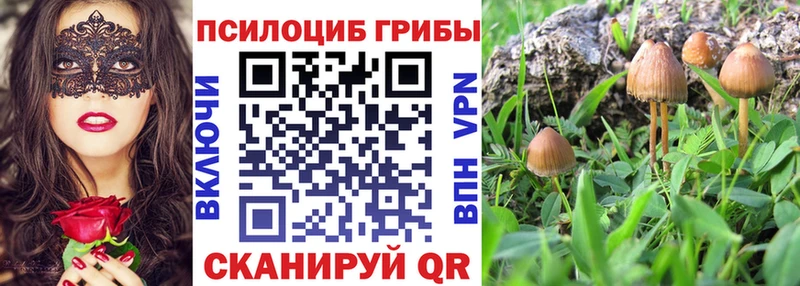 Псилоцибиновые грибы мицелий  Воткинск 